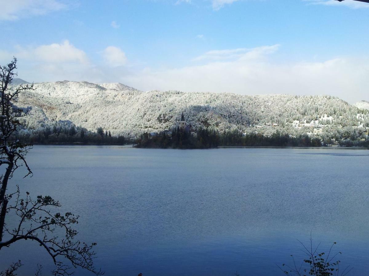 Pletna Lake View Apartment Bled Bagian luar foto